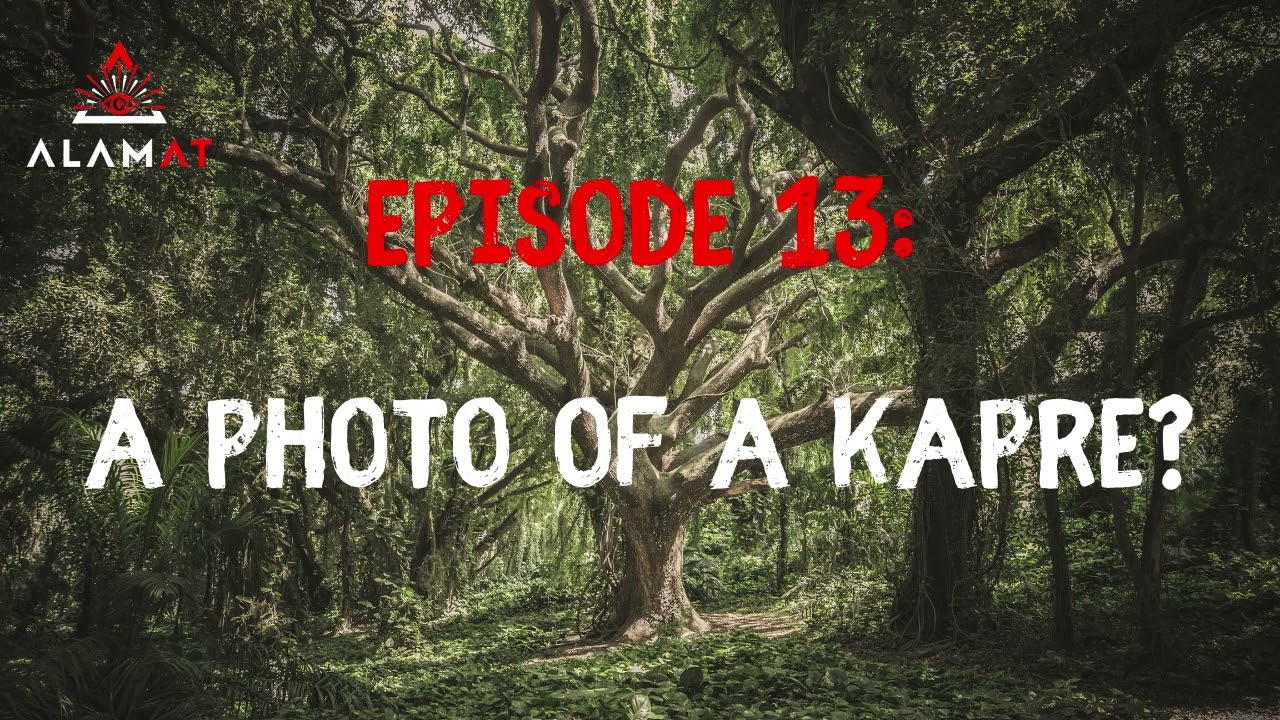 A photo of a kapre? - A True Philippine Paranormal Story