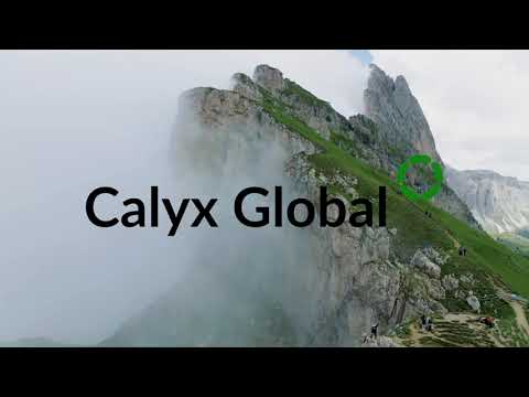 Calyx Global Ratings Carbon Credits