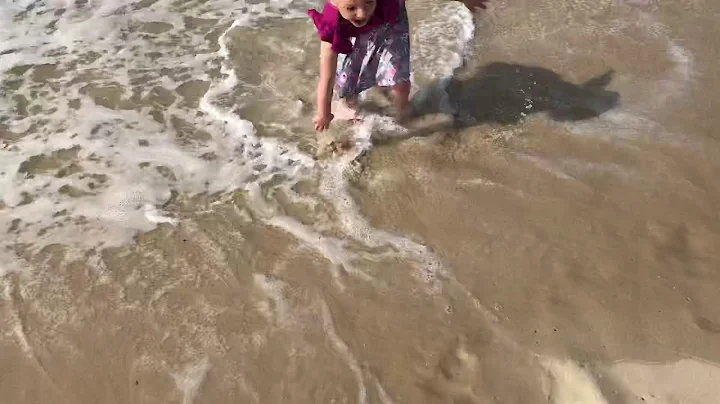 Funny vid
