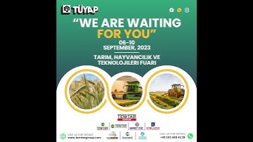 Animated Social Media Posts | Promo | Product Animation by Folok