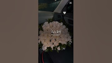تلاوه خاشعه ياسر الدوسري #اكسبلور