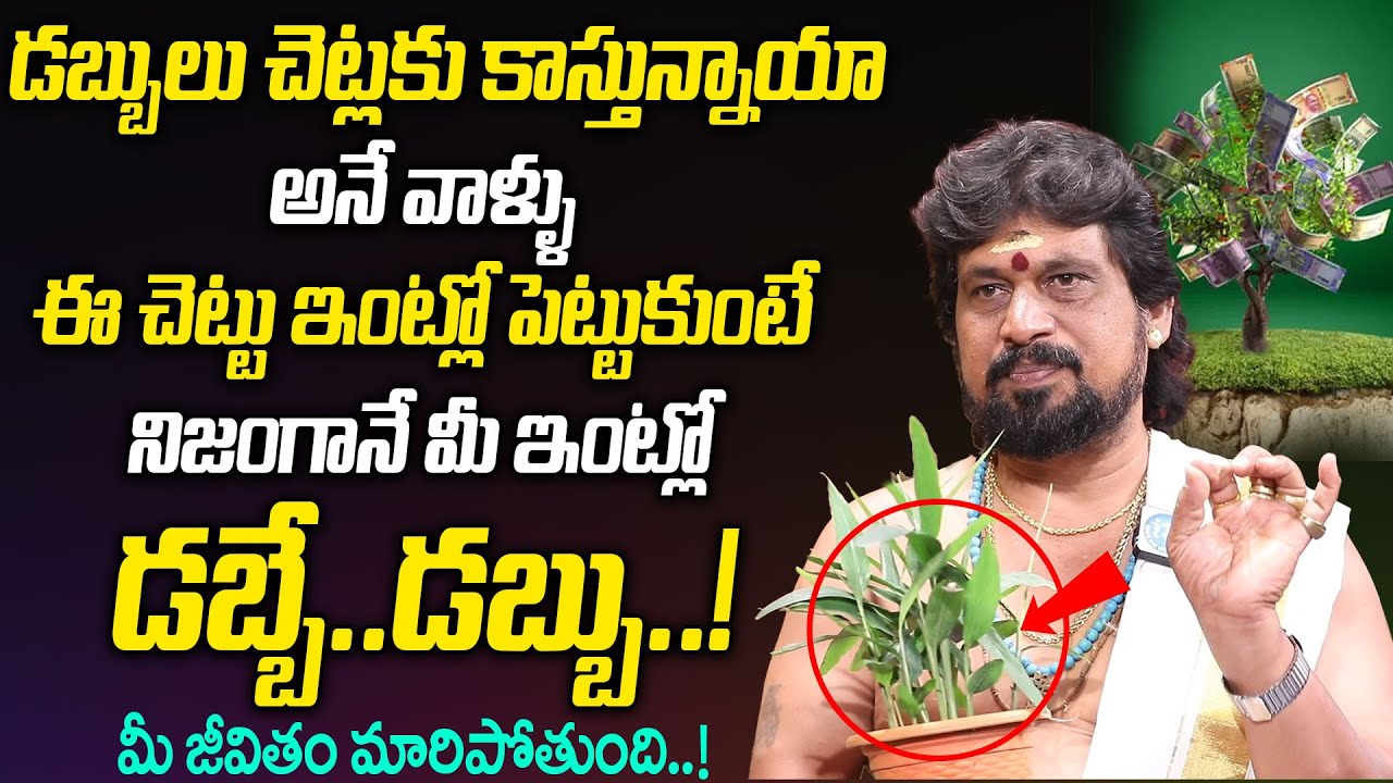 ఈ చెట్టు మీ ఇంట్లో ఉంటే మీ జీవితం మారిపోతుంది - Snt kerala astrology remedies | Money Tips in telugu