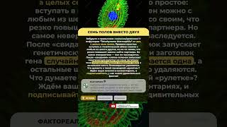 🧬 СЕМЬ ПОЛОВ ВМЕСТО ДВУХ #факты #история #интересно #фактореал #shorts #всемирнаяистория