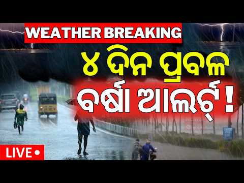 Live: ୪ ଦିନ ପ୍ରବଳ ବର୍ଷା ! New Low Pressure Expected | IMD Alert | Odsha Rain News Today | Odia News