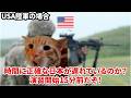 【戦わず最強】なぜ中国・韓国は日本を攻められないのか?#猫マニ #猫ミーム