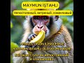 Турецкий язык -  Maymun iştahlı - Непостоянный, ветреный, изменчивый