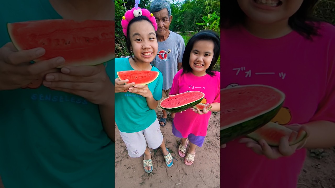 Sibling love ❤️💕👩‍❤️‍👩🍉🍭🍓🍒 #shorts #funny #comedy #cute #พี่เหนือน้องนารา | Nuea Nara TV