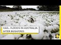 Thunderstorm unleashes hail in Australia, No refuge after bushfires