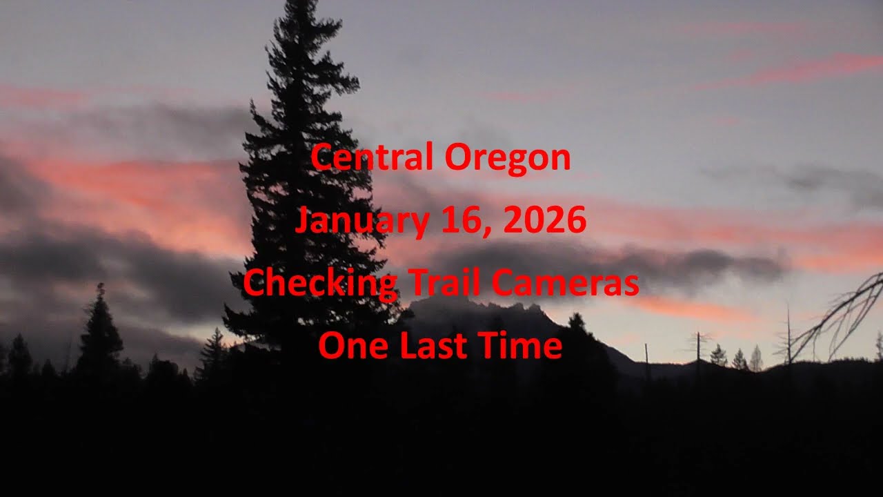 The Magical Metolius River Oregon Trail Cams Last Day 1 17 2026