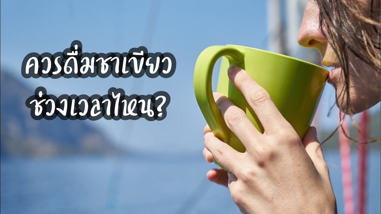 ท้องกินชาเขียวได้ไหม  Update New  ควรดื่มชาเขียวช่วงเวลาไหน? | ดื่มชาเขียวเวลาไหนดีที่สุด | ควรดื่มชาเขียวตอนไหน | ชาเขียว