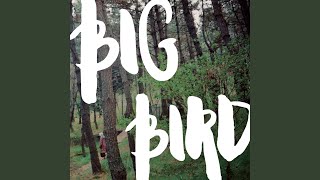 Big Bird