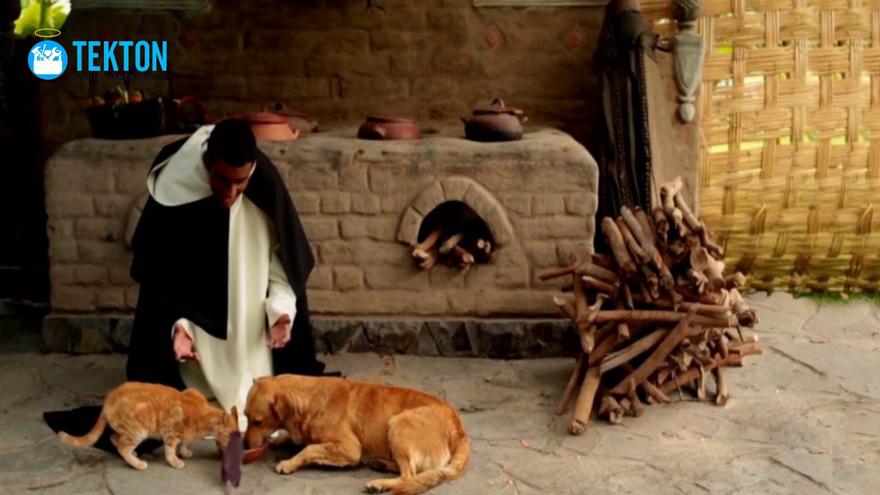 ⁣Conoce los impresionantes milagros de San Martín de Porres