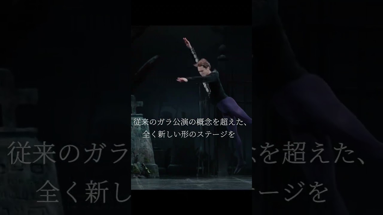 ジュリアン・マッケイ&フレンズ バレエ・ガラ アート・オブ・ダンス