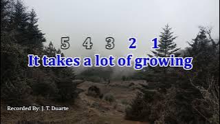 Growing in Jesus - Key of C (Karaoke)