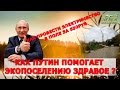 Как Путин помогает экопоселению Здравое. Субботник 5.11.16.