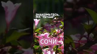 Новостройка Сочи: знакомьтесь, ЖК "Летний", мкр Кудепста #новостройкасочи
