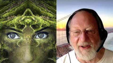 Ayahuasca & intelligence in nature with Dennis McKenna | Living Mirrors #19 clips