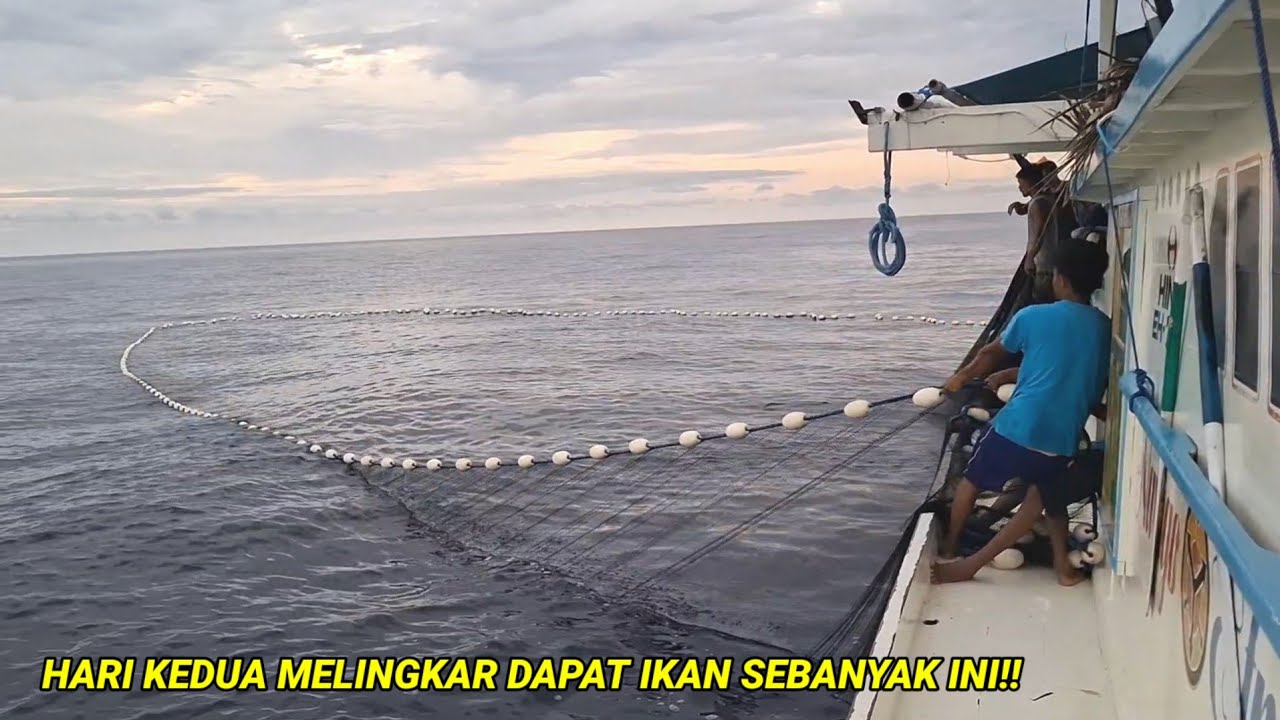 Nikmat Tuhan Mana Lagi Yang Mau Di Dustakan..!! Hasil  Mancing Dan Menjaring Sama² Banyak