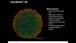 StemoniX microBrain 3D Assay Ready Plates as a Human iPSC-based Neural Spheroid Platform ... screenshot 3