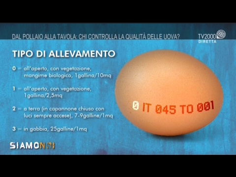 Video: Chi controlla la sicurezza alimentare?