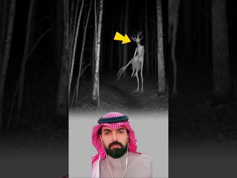 في ظلام الليل ظهر شبح غامض وسرق الخروف واختفى بلا أثر أعوذ بالله من الشيطان الرجيم اكسبلور لايك 