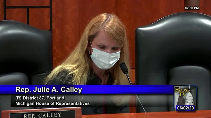 State Representative Julie Calley on Covid Task Fo...