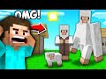 Minecraft, But EVERYONE IS A SHEEP!