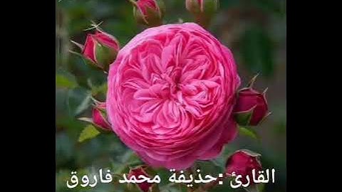 سورة القيامة للقارئ حذيفه محمد فاروق
