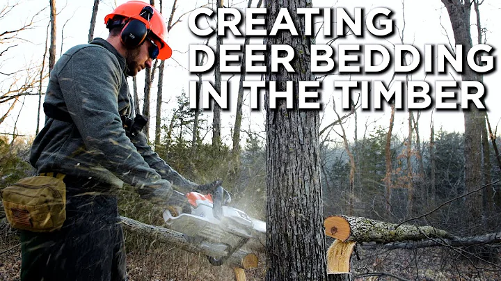 TIPS For Creating DEER BEDDING In The Timber!!