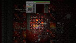 New MS Skills - Teat Server Rebalance #tibia #gaming