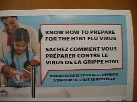 Govt's swine flu mail-out, question: when did you ...