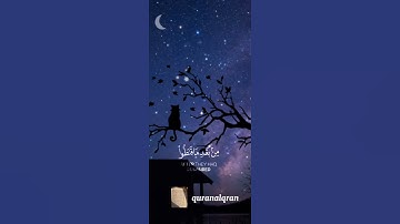 سورة الشورى #ياسر_الدوسري #فلسطين #السعودية #المغرب #الجزائر #مصر #تونس #ليبيا #موريتانيا