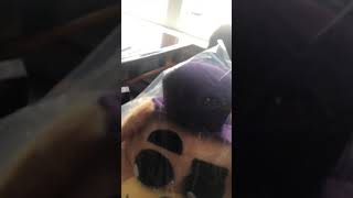 Opening My New Fredbear Plush