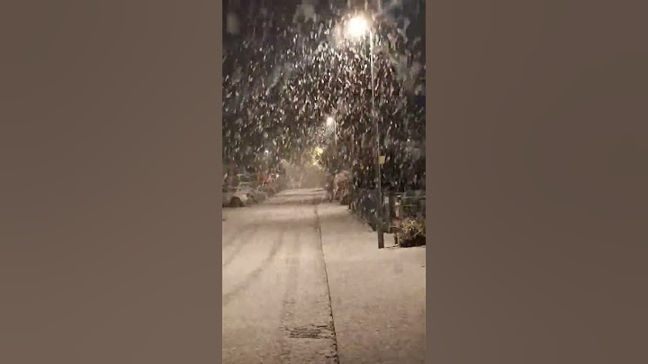 Heftiger Schneefall in Düsseldorf am  21.11.2024