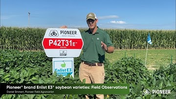 Pioneer® brand Enlist E3® soybean varieties: Field Observations