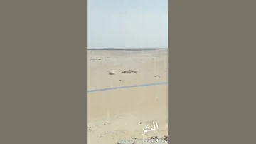 جنه العشاق عثمان عبد العظيم حال جميله 