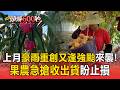 上月豪雨重創又逢強颱來襲！果農急搶收火龍果.百香果出貨盼止損【頭條600秒】