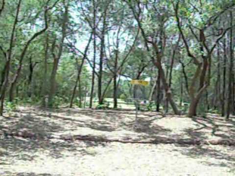 Disc Golf Hot Shots 7