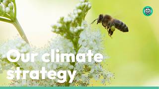 Our climate strategy