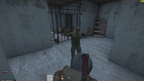 DayZ SA - Where hostages become friends