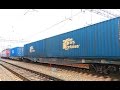 «РЖД Логистика» запустит контейнерный поезд из Ворсино в КНР