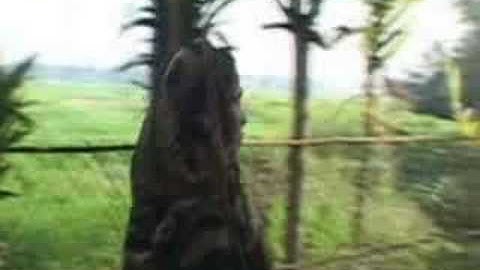 Thinking Big and Scaling Up, part 2