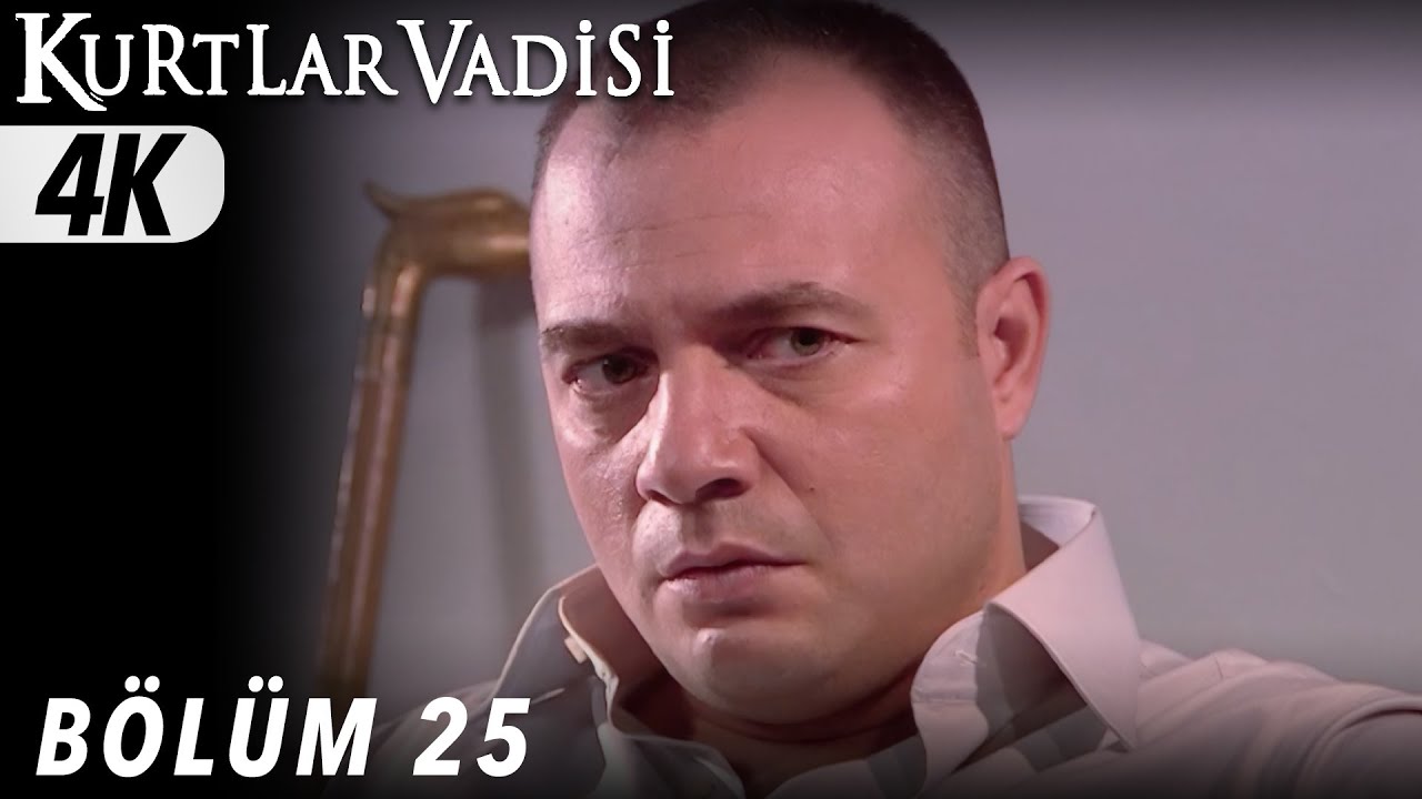 Kurtlar Vadisi 25. Bölüm video kapağı