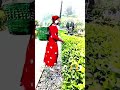 #darjiling #love #travel #shortvideo