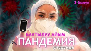 Кычкылтек аппараттар / Пульсоксиметрди канчадан алынган? / Бактылуу айым ПАНДЕМИЯ учурунда