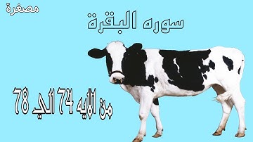 سوره البقرة | مصغرة | من الايه 74 حتى الايه 78