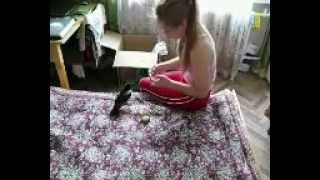 Сорока играет, кричит и летает.mp4 Сорока играет, кричит и летает.mp4