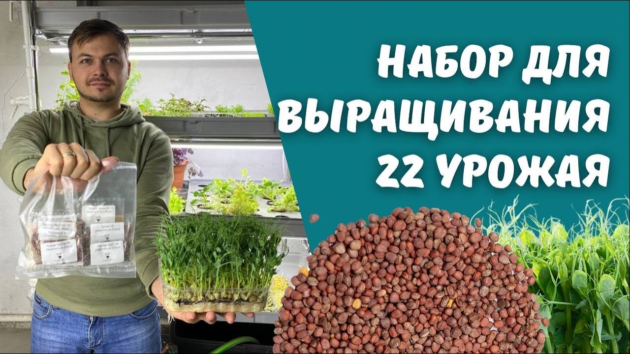 «Народные семена» - магазин семян микрозелени и оборудования для ...