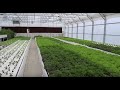 Butter Crunch Farms - by The Aquaponic Source