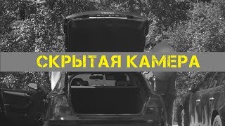 Покупаем Ауди А5 у перекупа. Скрытая камера. Лиса Рулит предупреждает